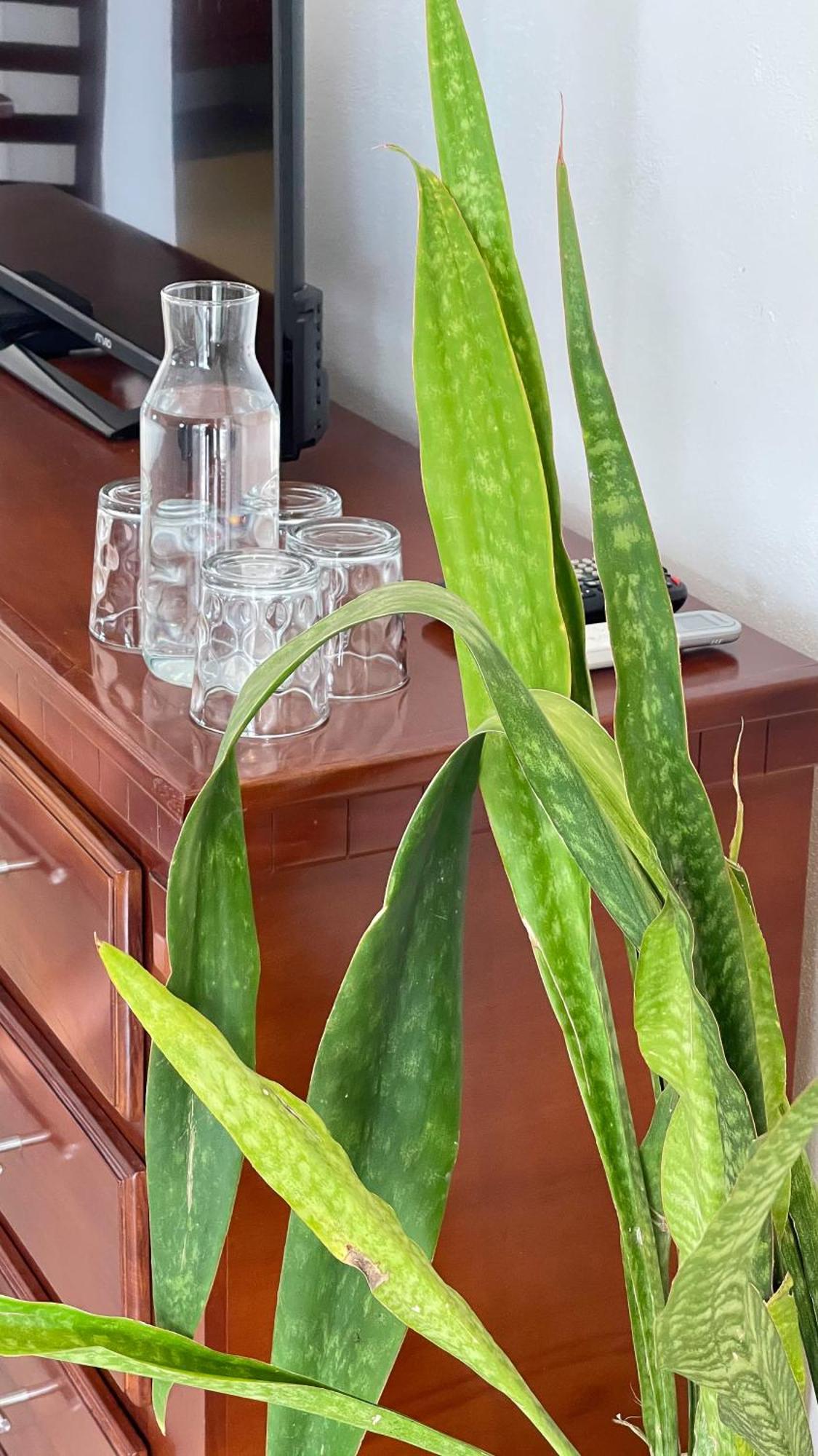 Quinta Alberto Boutique Hotel San Blas Pokoj fotografie