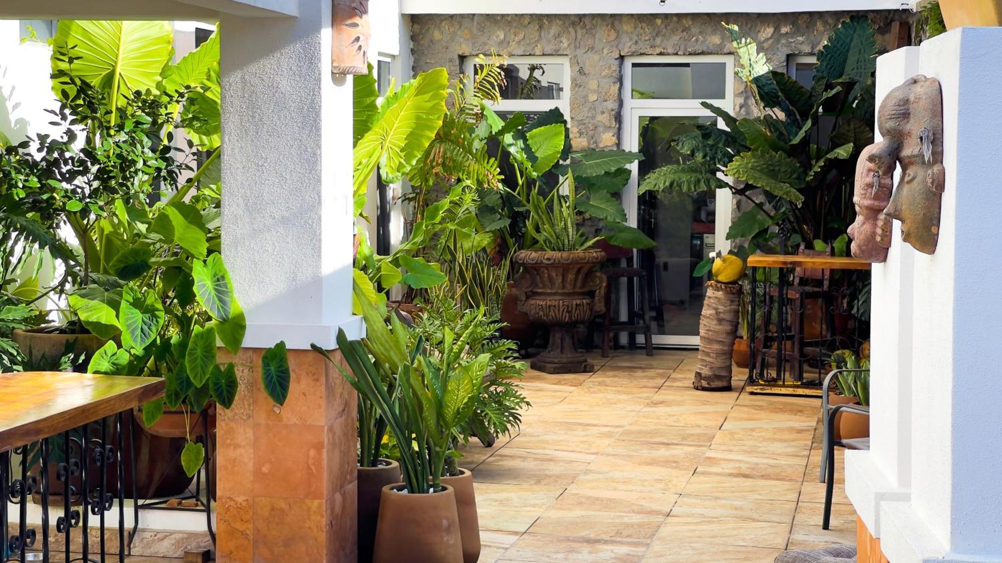 Quinta Alberto Boutique Hotel San Blas Exteriér fotografie